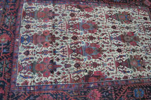 4107 Sene Malayer,  4'10" x 7' - Soheil Oriental Rugs