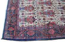 4107 Sene Malayer,  4'10" x 7' - Soheil Oriental Rugs